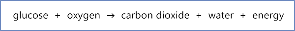 Cellular respiration is the chemical reaction in which glucose and oxygen are turned into water , carbon dioxide and energy (atp). Respiration And Photosynthesis Good Science