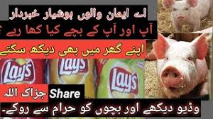 E441 gelatine emulsifier gelling agent animal origin haram. Free E631 Products In Urdu Watch Online Khatrimaza