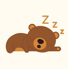 Bear sleep koala animal teddy bear cute sleeping polar bear teddy panda. Sleeping Bear Clipart Transparent Background Novocom Top
