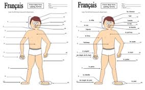 Look at the following gender clues in both singular and plural forms. French Body Parts Diagram To Label With 20 Body Parts Teaching Resources