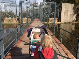 Afla ce poti vizita in brasov, romania, atractii si obiective turistice brasov informatii turistice pe turistik.ro. Calatorii Cu Copiii Distractii Pentru Cei Mici In Brasov Travelista Ro Mereu In Asteptarea Urmatoarei Aventuri