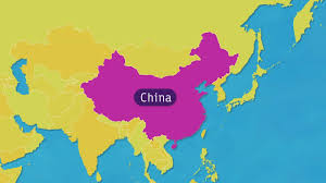 Shouldn't you be paying attention?. Logo China Zdftivi