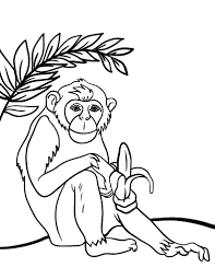 We found for you 15 pictures from the collection of chimpanzee coloring colouring! Free Chimpanzee Coloring Page