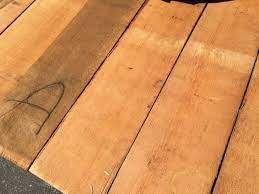 We did not find results for: Fir Red Oak And Curly Maple Arrivals West Wind Hardwood