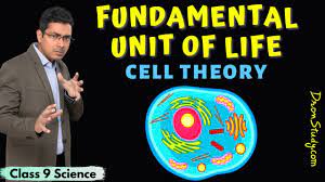 Cell theory has evolved over time and is subject to interpretation. Cell Theory Cell Cell Structure Fundamental Unit Of Life Class 9 Science Cbse Ncert Youtube