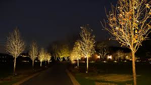 Low Voltage Outdoor Lighting Archives Ryco Landscaping