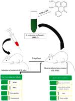 Image result for Annickia