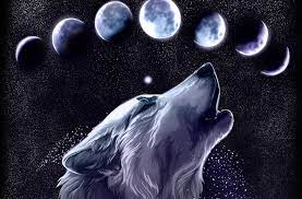 Wolf Computer Wallpapers Desktop Backgrounds 3500x2304 Id 235381 Wolf Wallpaper Wolf Background Wolf Art