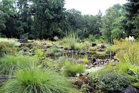 Botanischer Garten Erlangen 2021 All You Need To Know Before You Go With Photos Tripadvisor