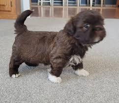 Let's welcome our new members! Brad Frazee, Rose Stacy Oldham, Sara Lynn  Theodosopoulos