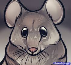 How To Draw A Mouse Face Drawings Guided Drawing Animal Stencil