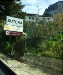 Image result for Sutera debilis