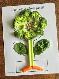 It S Plant Time Parts Of A Plant Nutrition Activities Teaching Kids