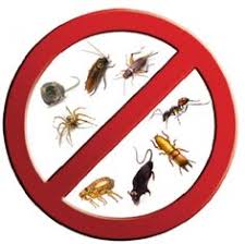 Hire the best pest control services in nashville, tn on homeadvisor. 11 Ø§ÙØ¶Ù„ Ø´Ø±ÙƒØ© Ù…ÙƒØ§ÙØ­Ø© Ø­Ø´Ø±Ø§Øª Ø¨Ù…ÙƒØ© Ideas Pest Control Pests Integrated Pest Management