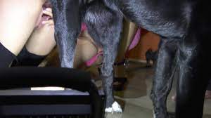 Xxx sexo animal