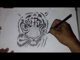 Search the worlds information including webpages images videos and more. Sketsa Gambar Macan
