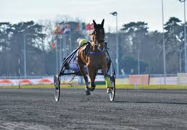 Equipement du trotteur et du driver. Bilan Du Meeting 2018 2019 Les Meilleurs Chevaux Et Entraineurs