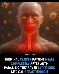 Alternative cancer treatment and tumor development