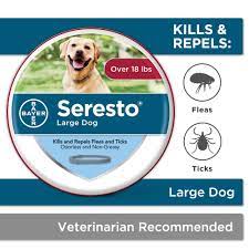 We did not find results for: Seresto Flea And Tick Collar For Dogs 8 Month Flea And Tick Collar For Large Dogs Over 18 Pounds Buy Online At Best Price In Uae Amazon Ae