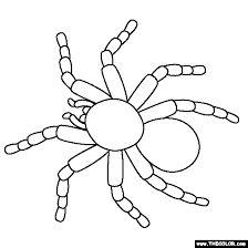Tarantula Coloring Page Free Coloring Pages Coloring Pages Tarantula Drawing