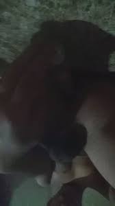 @salb522s video Tweet