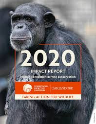 Maybe you would like to learn more about one of these? 2020 Oakland Zoo Impact Report By Oakland Zoo Issuu