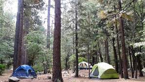 Serrano Campground San Bernardino National Forest A Camp At Big Bear Lake That S Within W San Bernardino National Forest Road Trip Camping Lake George Camping