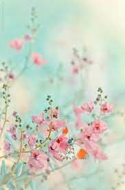 Good day, on this site you can quickly and conveniently download free wallpapers for your desktop. Flowers Beautiful Pink Colour 65 Ideas Flower Wallpaper Flowers Photography Flower Backgrounds