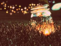 Lightning Bugs Romancing The Bee