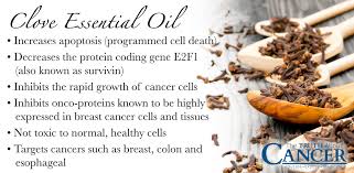 A ship needs to carry heavy fuel oil in abundance to ensure a continuous supply of fuel to engines and boilers during the long voyage. Oil Of Cloves The Aromatic Anti Cancer Essential Oil