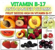 Buah berwarna jingga ini mempunyai banyak beta karoten dan likopen yang bisa mencegah kanker payudara. Penawar Kanser Dan Mencegah Kanser Biji Apricot Vitamin B17 Posts Facebook