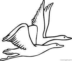 Dogs love to chew on bones, run and fetch balls, and find more time to play! Goose Coloring Pages Coloringall