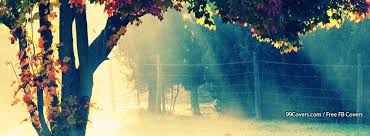 99covers Com Has Awesome Facebook Cover Photos Tumblr Wallpaper Facebook Cover Photos Best Facebook Cover Photos