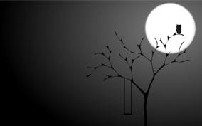 Great prices, excellent customer service. Owl Simple Black Hd Wallpapers Desktop And Mobile Images Photos