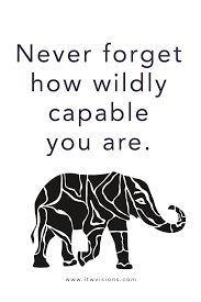 Never Forget How Wildly Capable You Are Motivational Quote With An Elephant Minimalist Design Words Of Elephant Quotes Words Of Wisdom Quotes Wisdom Quotes