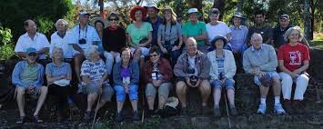 Image result for Bersama swynnertonii