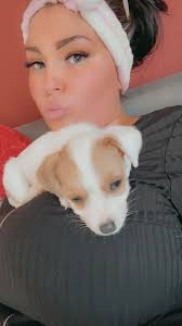 Needing to rehome this dog