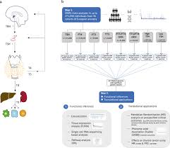 Image result for Thyroid Function Summary