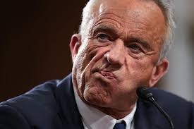 High Egg Prices Due to Bird Flu