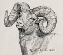 Ram Animal Head Google Search Animal Paintings Animal Drawings Animal Sketches