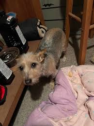 Taken in the Bothell/Brier/Kenmore area (98021)