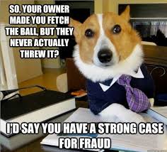 Is It Hot In Here Or Is It Just Me Meme The Best Of The Lawyer Dog Meme Legal Humor Dog Memes Lawyer Jokes
