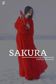 Sakura Aesthetic Names Female Character Names Japanese Names And Meanings