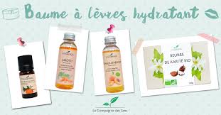 Diy Baume A Levres Hydratant Avec Des Huiles Essentielles Et Vegetales Pour Nourrir Vos Levres En Profondeur Baume A Levres Baume Levre