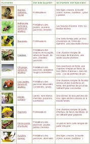 Hotel A Insectes Hotel A Insectes Insectes Maison A Insecte