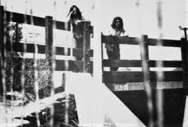 Aylesworth has done a fantastic job with his version of the gingerbread man. The Residents Wikiwand