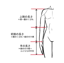 人体の比率を覚えれば人物イラストが上手になる アタリの取り方講座 いちあっぷ 描き方 腕 イラスト 人物 イラスト