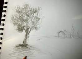 Comment dessiner un ciel nuageux. Comment Bien Dessiner Les Ombres D Un Arbre A L Aide D Une Technique Simple Dessin Paysage Dessin Dessin Foret