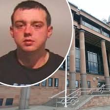 Newcastle dognappers snatch prized Pug puppy in terrifying armed home  invasion raid