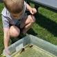 Pond Life